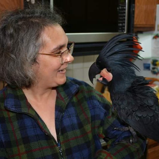 Anjali Gallagher with her favorite bird of all time, Poe, a black palm cockatoo owned by Karl Anderson, The Oregon Birdman